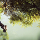 Image for article titled Anthem: The Kotaku Review